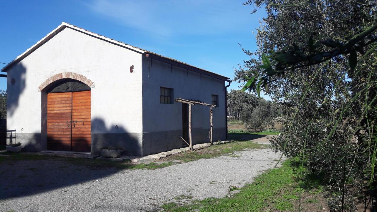 Agriturismo Monte Alzato Capalbio Exterior photo